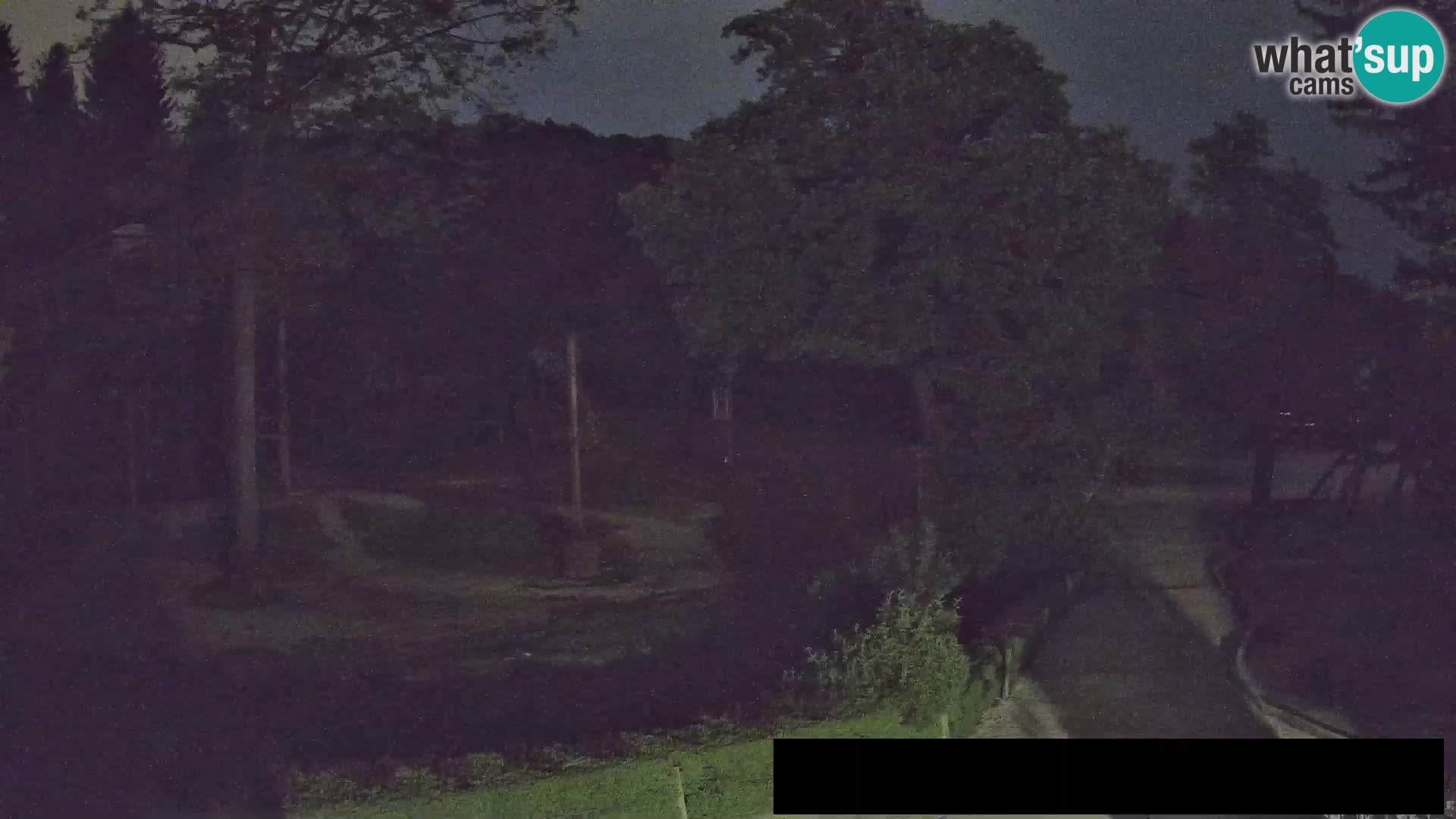 Webcam Zoo Ljubljana – Jirafas