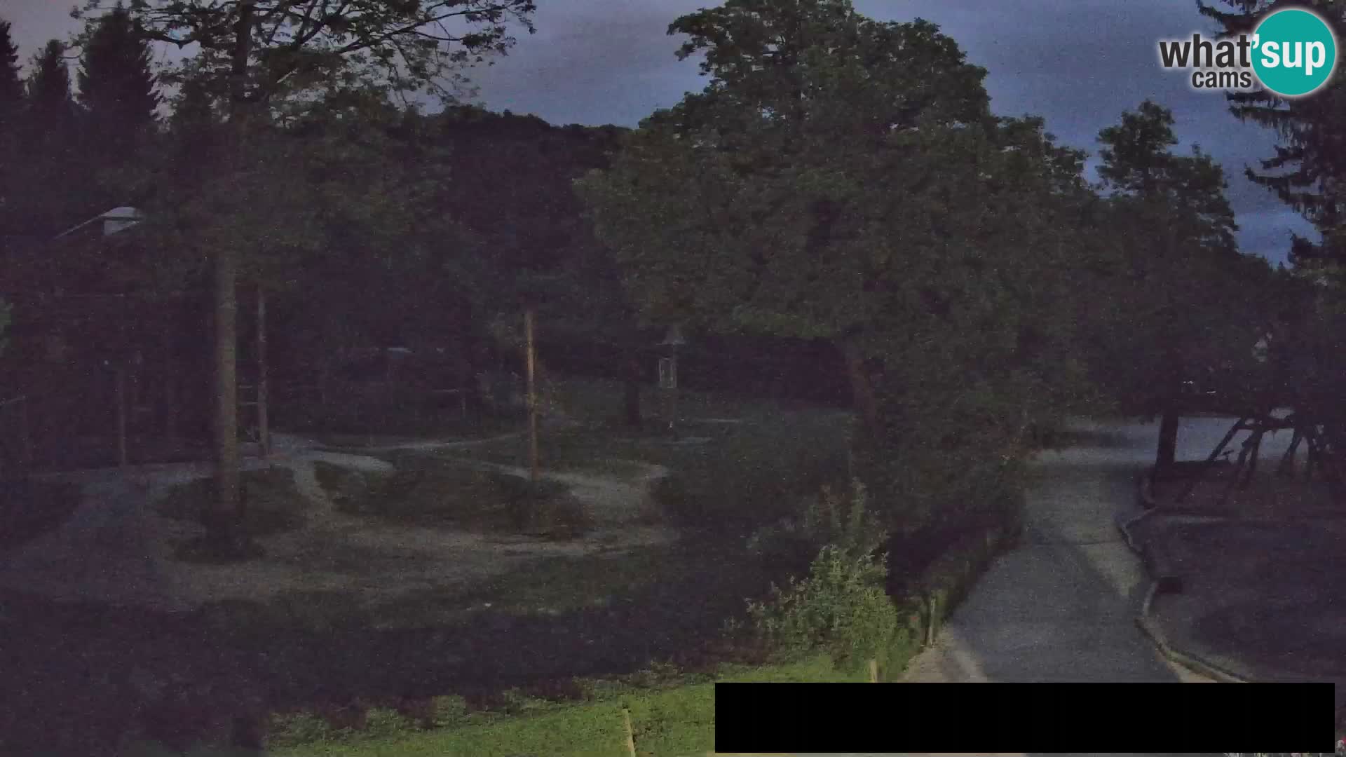 Webcam Zoo Ljubljana – Giraffes