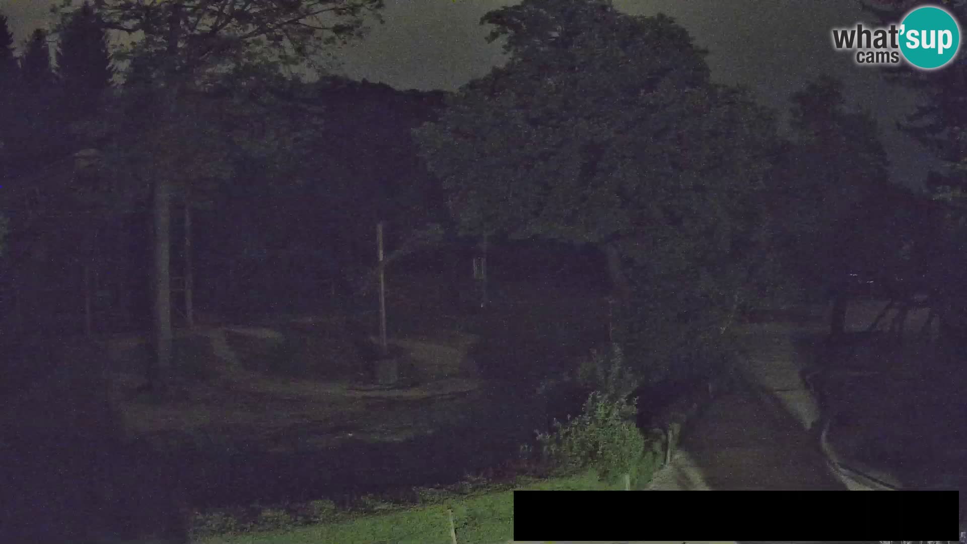 Webcam live Zoo Lubiana – Giraffe