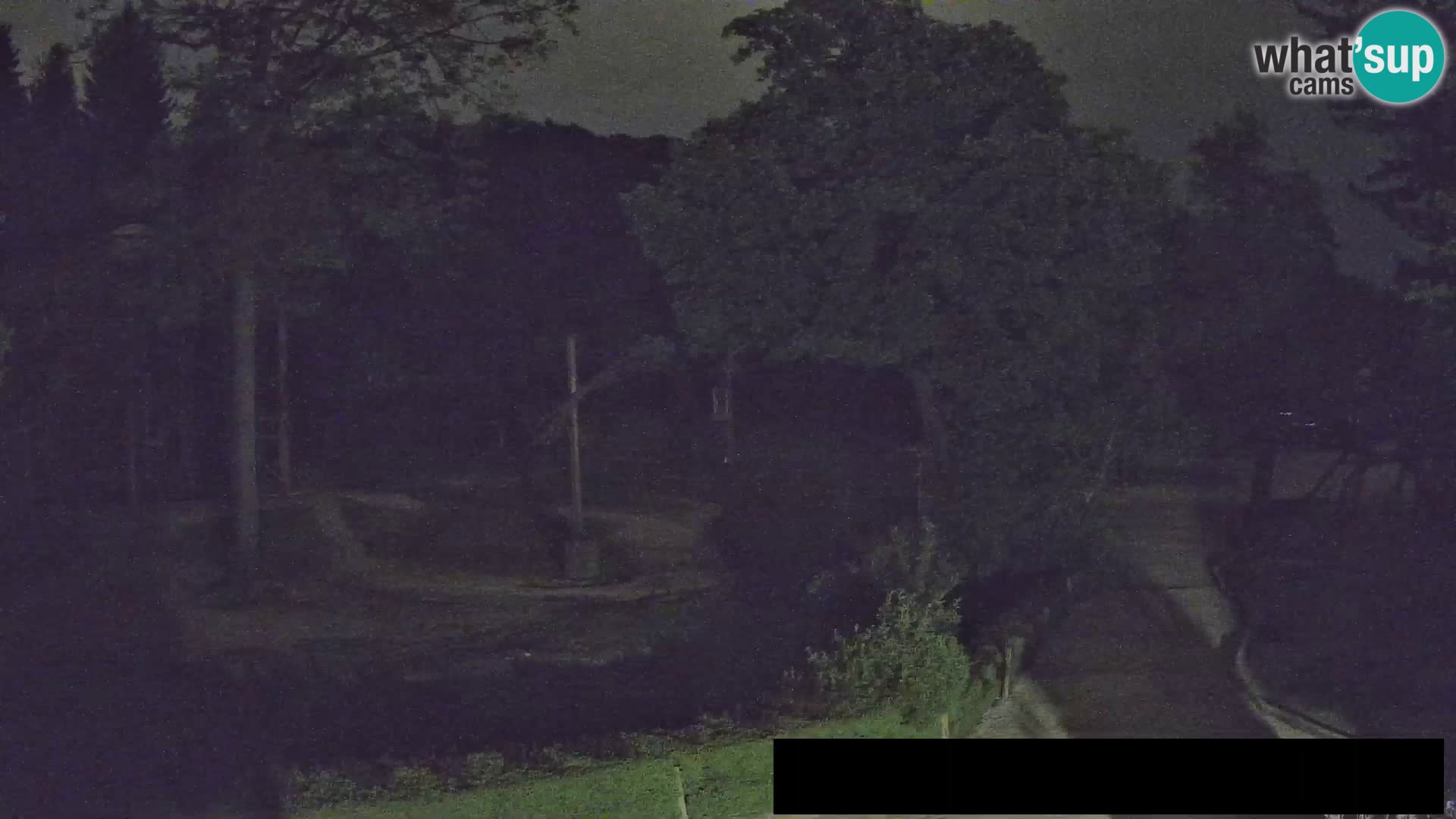 Webcam Zoo Ljubljana – Jirafas