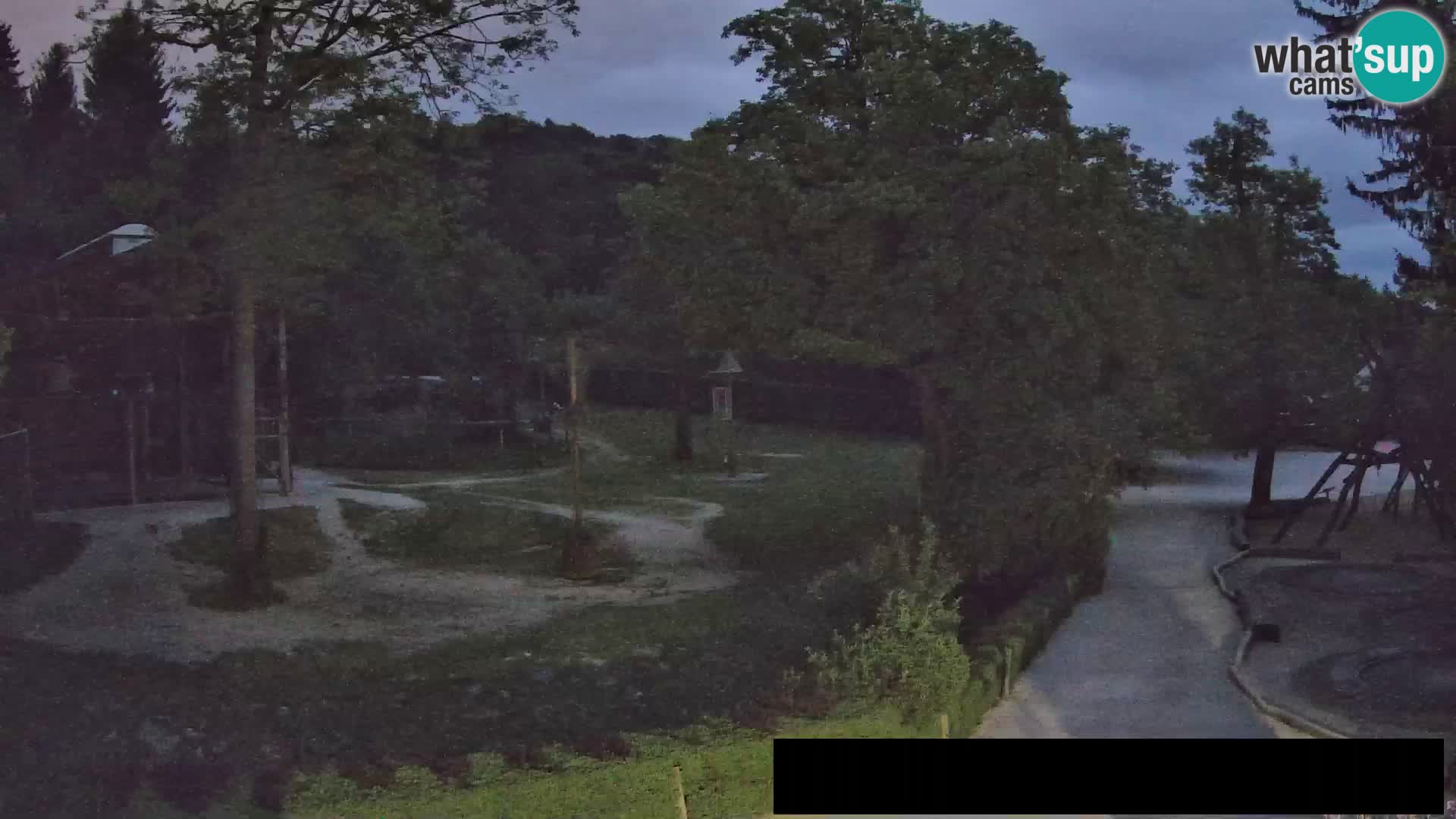 Webcam Zoo Ljubljana – Giraffes