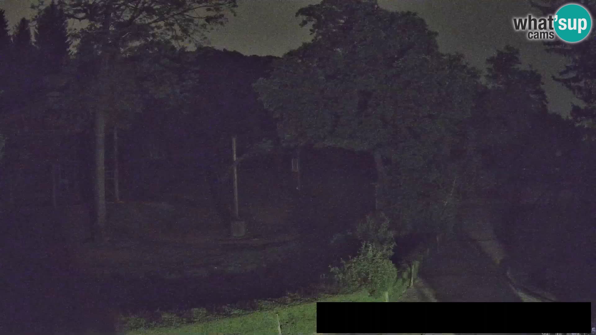 Webcam Zoo Ljubljana – Giraffes