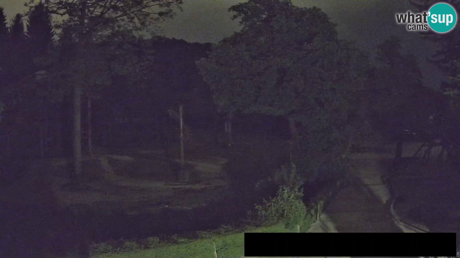 Web kamera Zoo Ljubljana – Žirafe