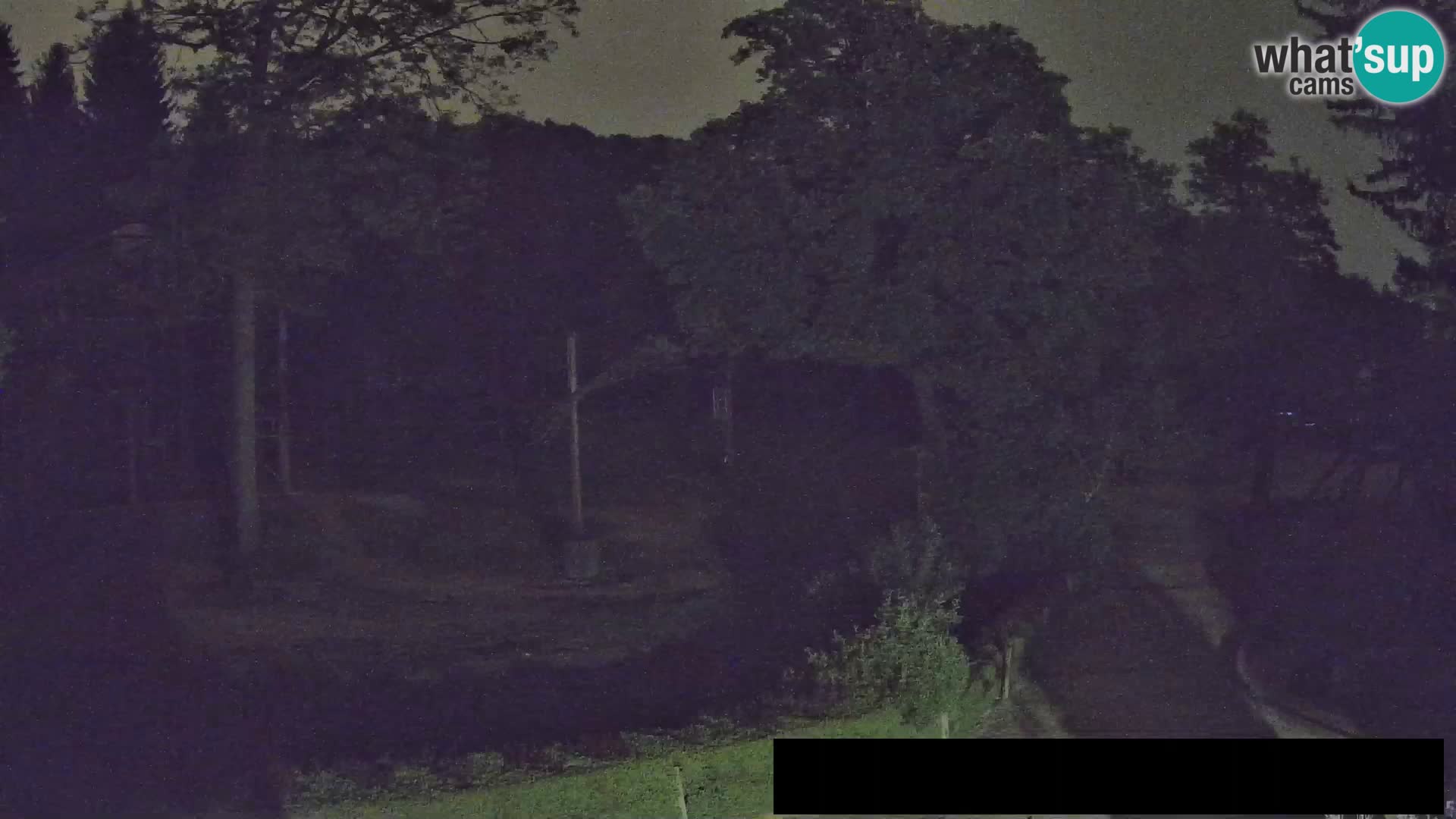 Webcam Zoo Ljubljana – Jirafas
