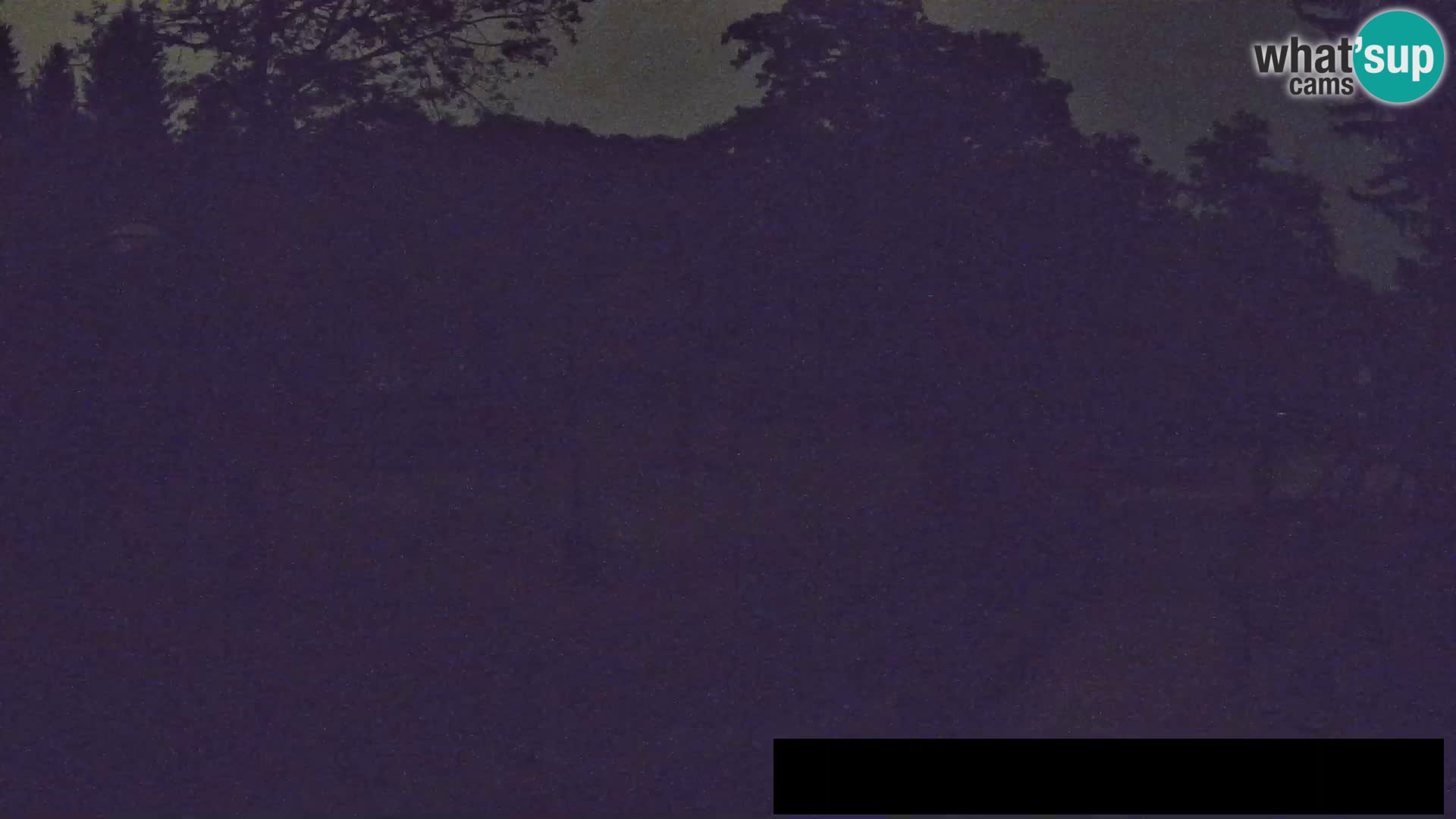Webcam Zoo Ljubljana – Giraffes