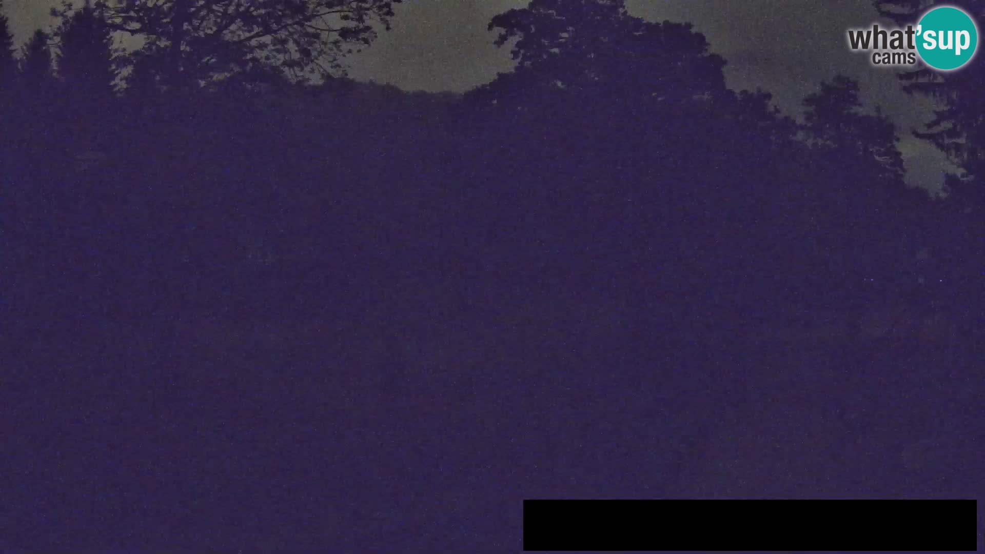 Webcam Zoo Ljubljana – Jirafas