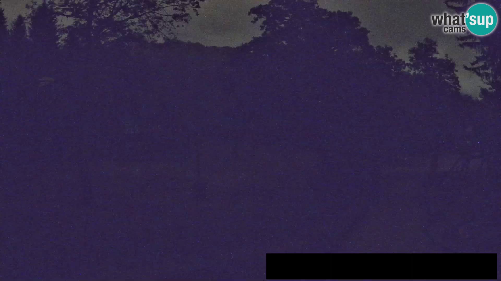Webcam Zoo Ljubljana – Jirafas