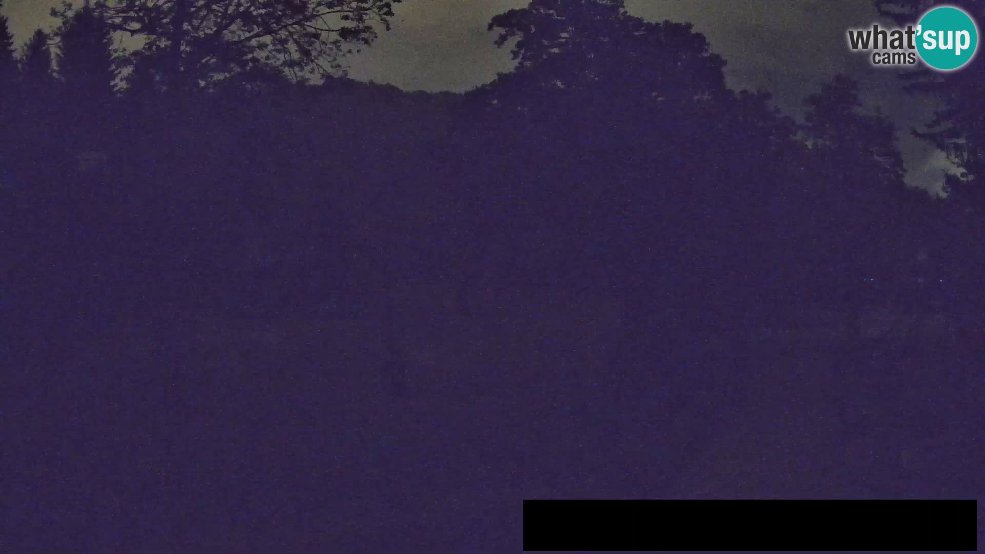 Webcam Zoo Ljubljana – Jirafas