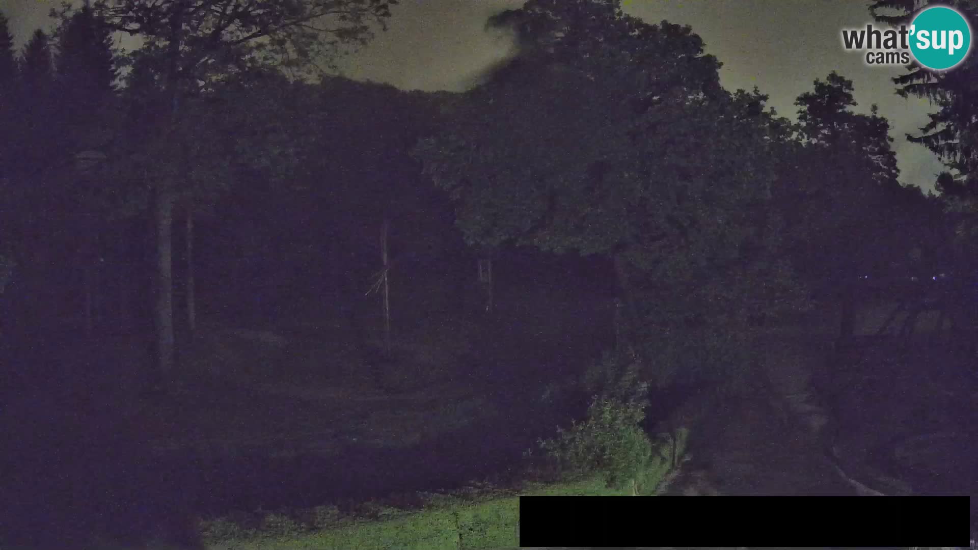 Webcam Zoo Ljubljana – Giraffes