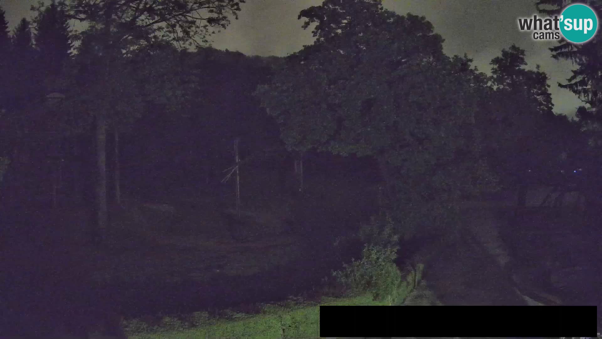Webcam Zoo Ljubljana – Giraffes