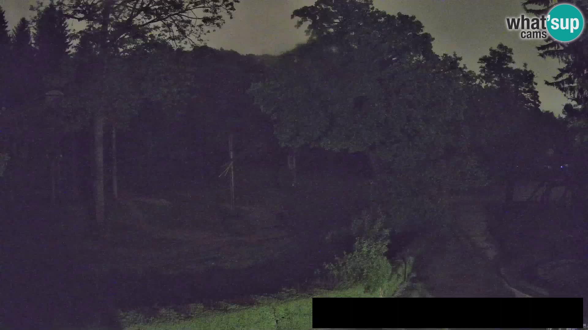 Webcam Zoo Ljubljana – Giraffes