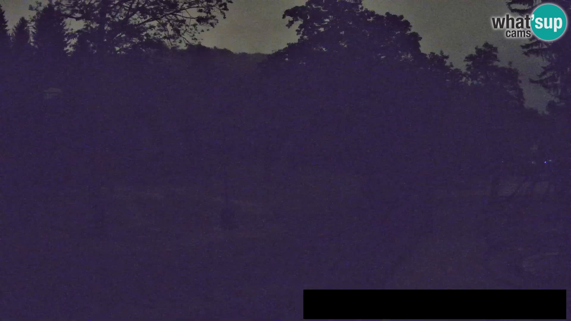 Webcam Zoo Ljubljana – Giraffes