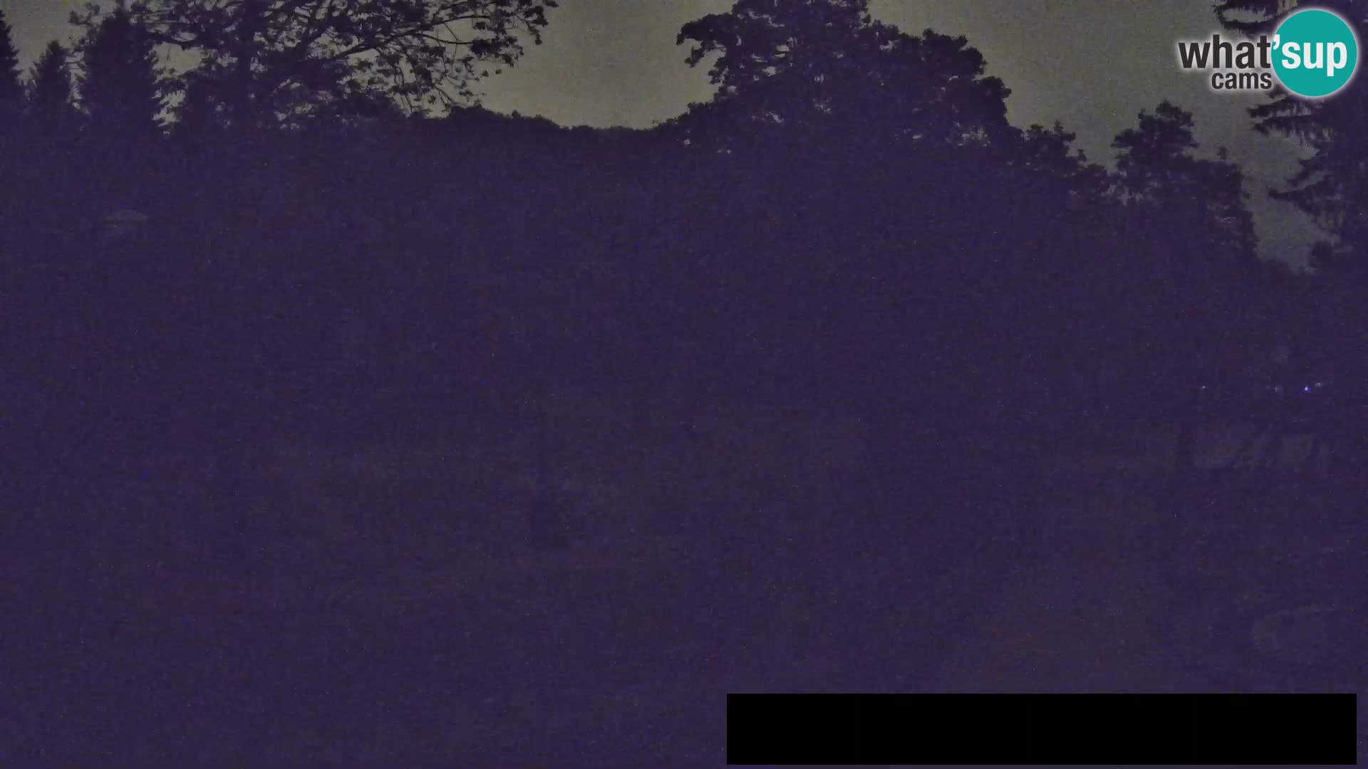 Webcam Zoo Ljubljana – Giraffes