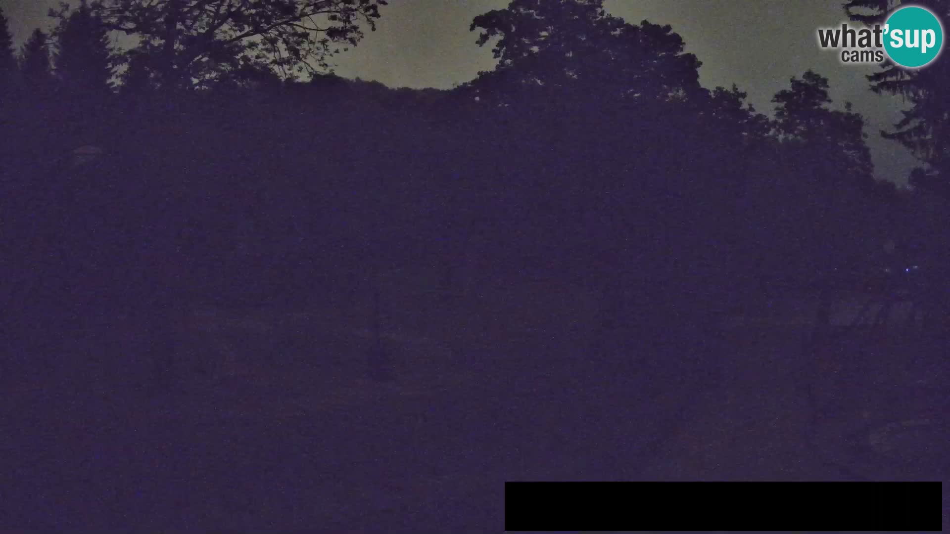 Webcam live Zoo Lubiana – Giraffe