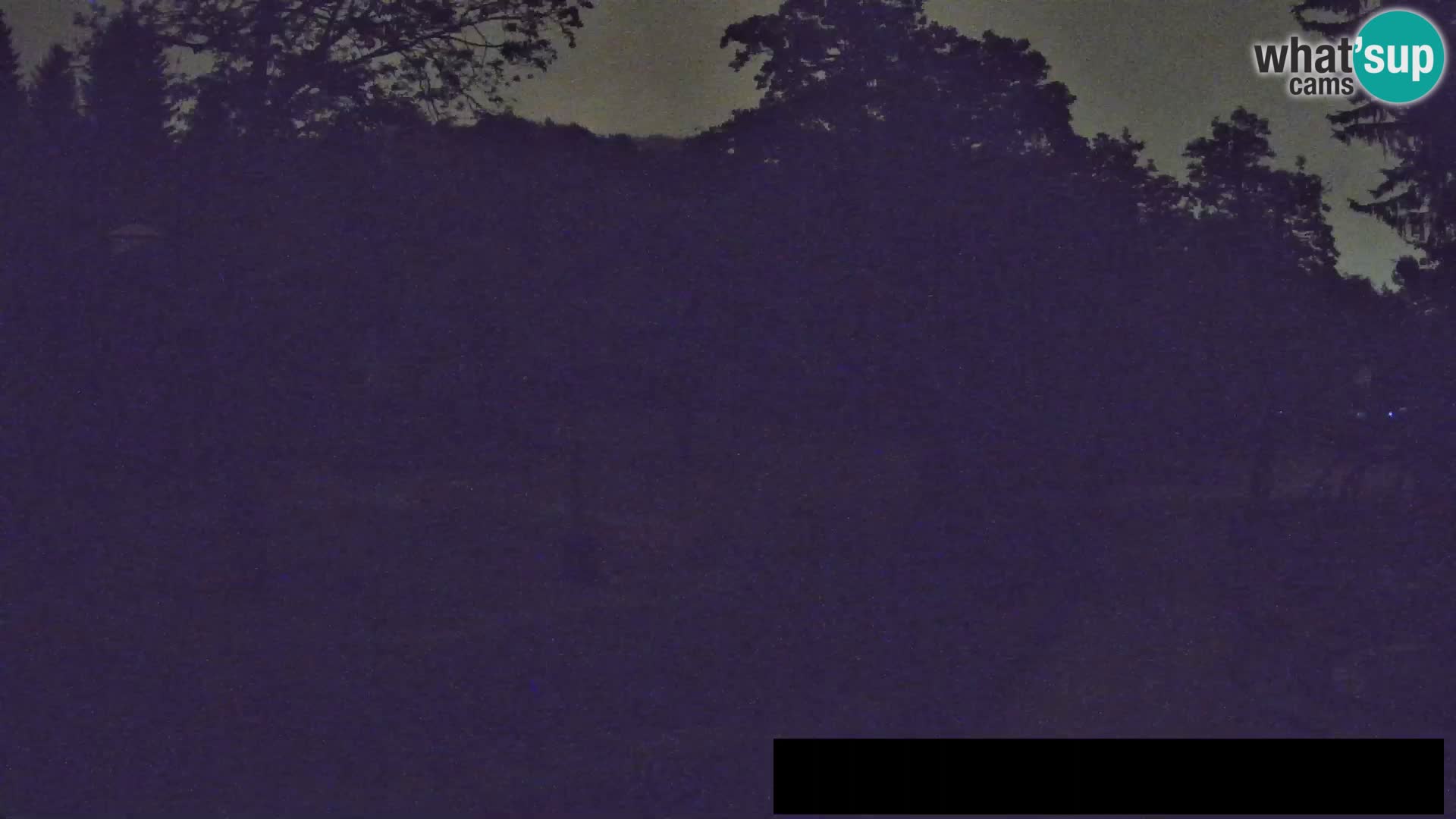 Webcam Zoo Ljubljana – Giraffen