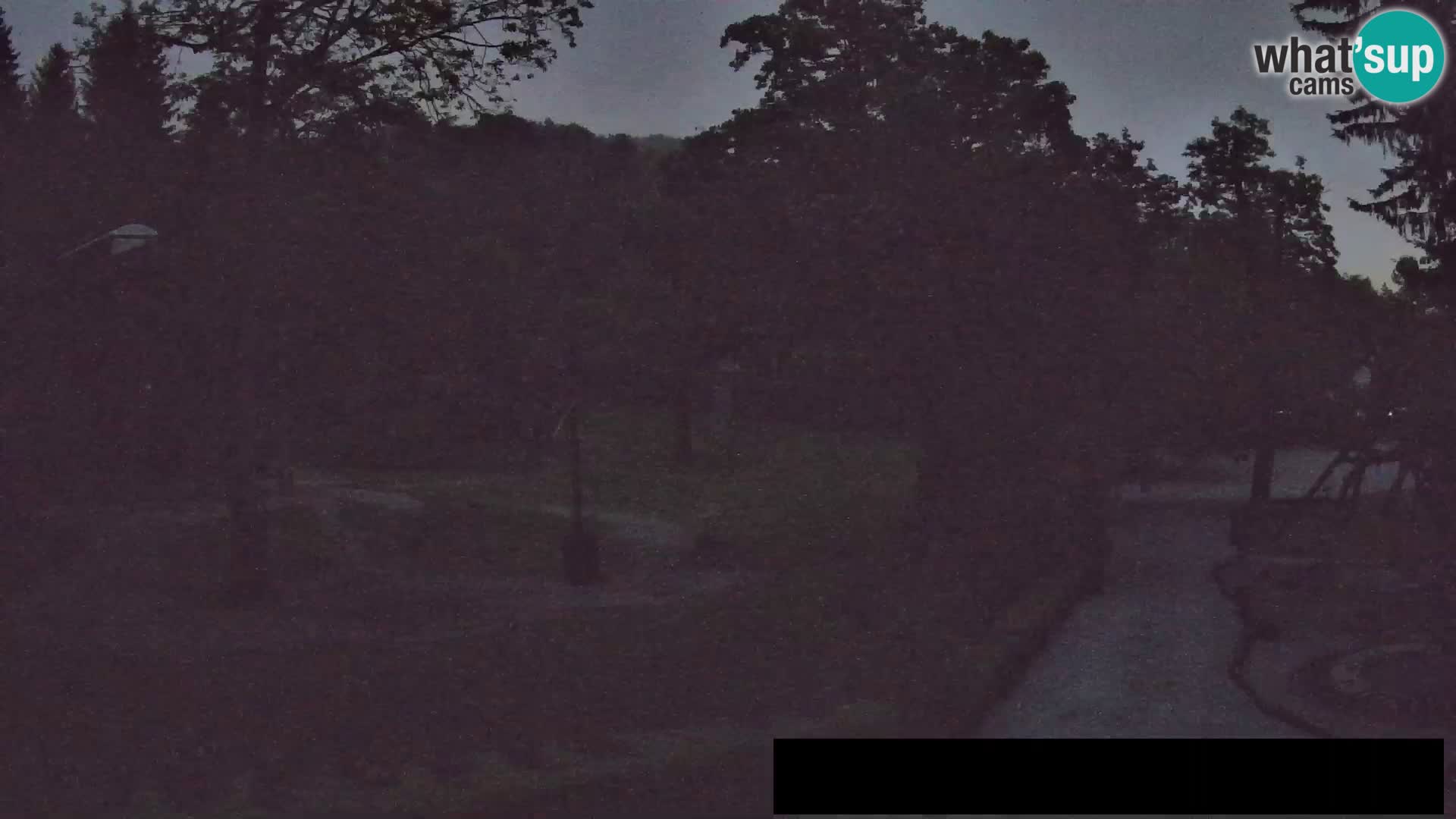 Webcam Zoo Ljubljana – Giraffes