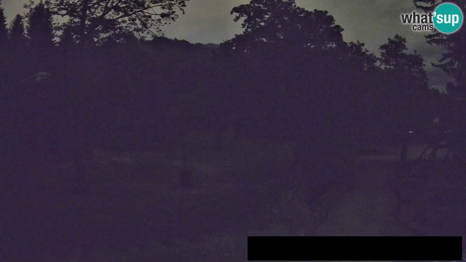 Webcam Zoo Ljubljana – Jirafas