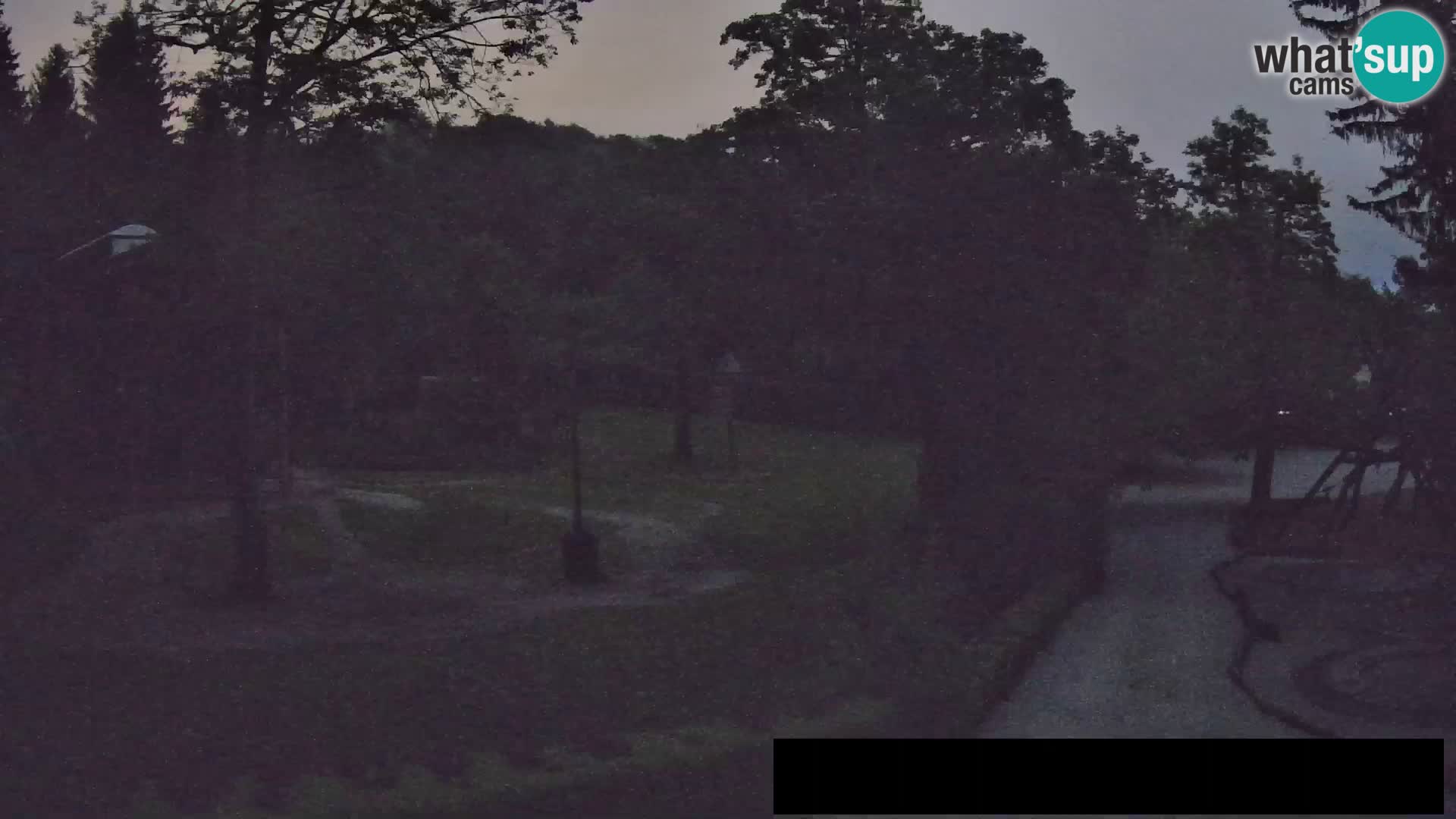 Webcam Zoo Ljubljana – Giraffes