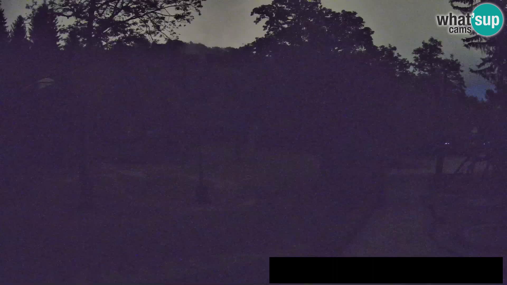 Webcam live Zoo Lubiana – Giraffe
