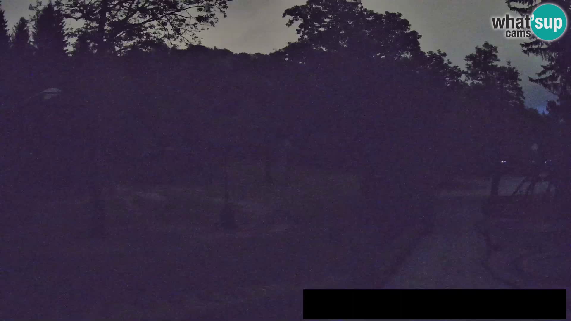 Webcam Zoo Ljubljana – Jirafas