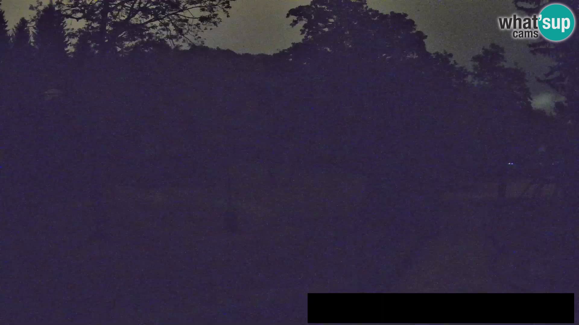 Webcam Zoo Ljubljana – Giraffes