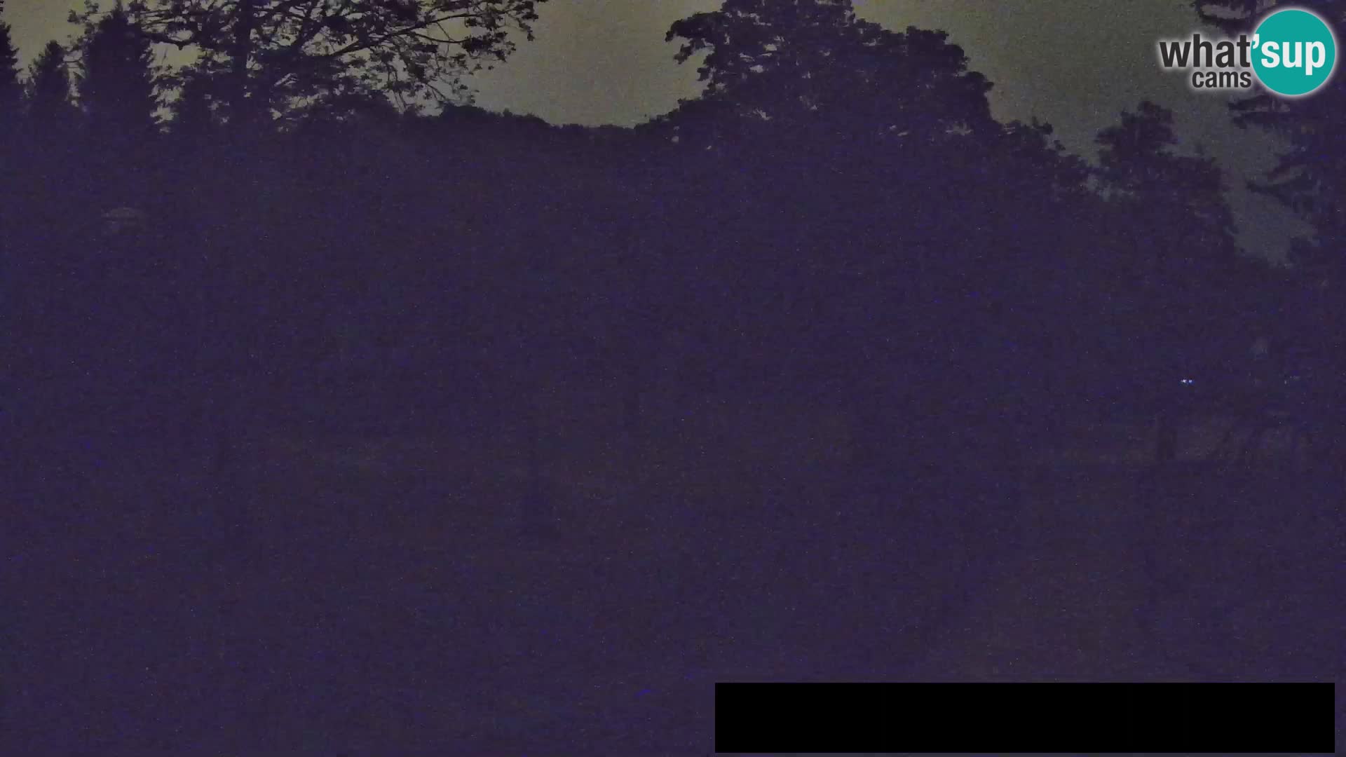 Webcam live Zoo Lubiana – Giraffe