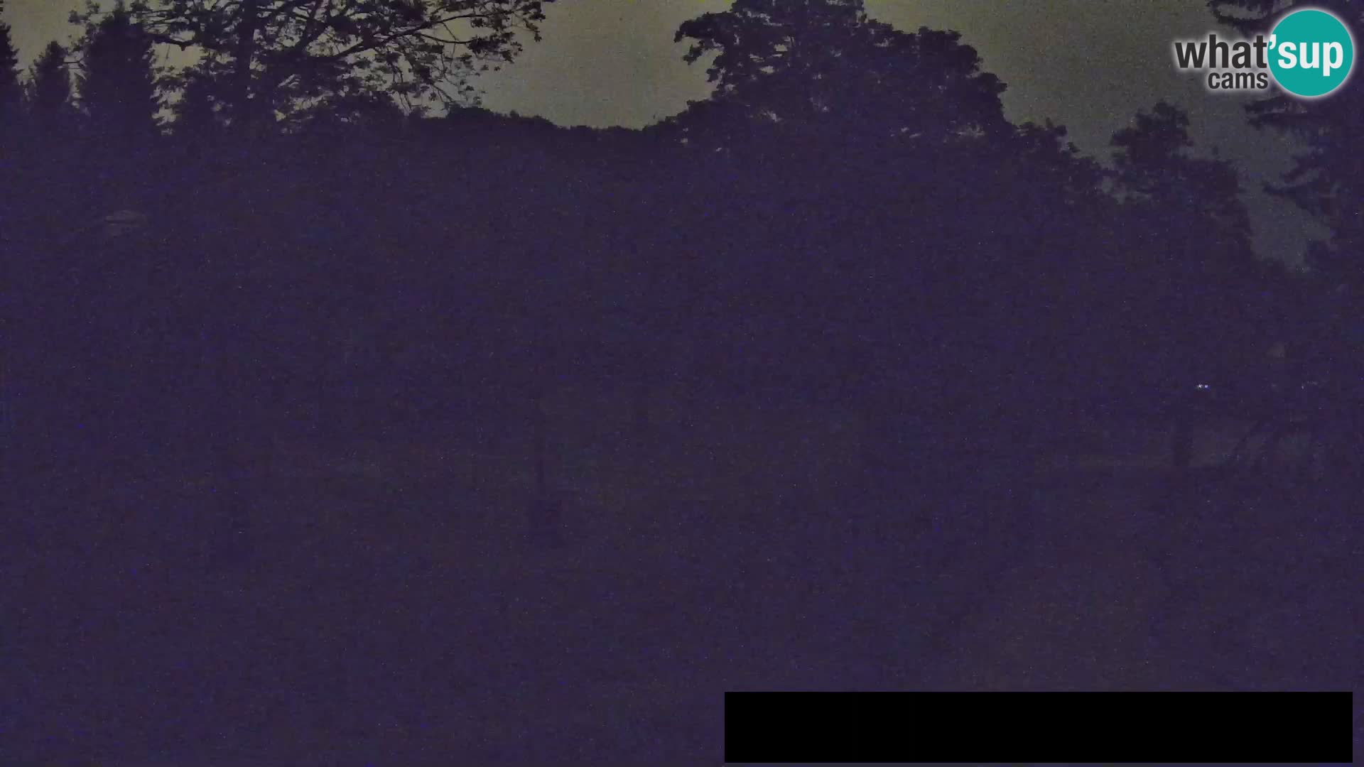 Webcam Zoo Ljubljana – Giraffen