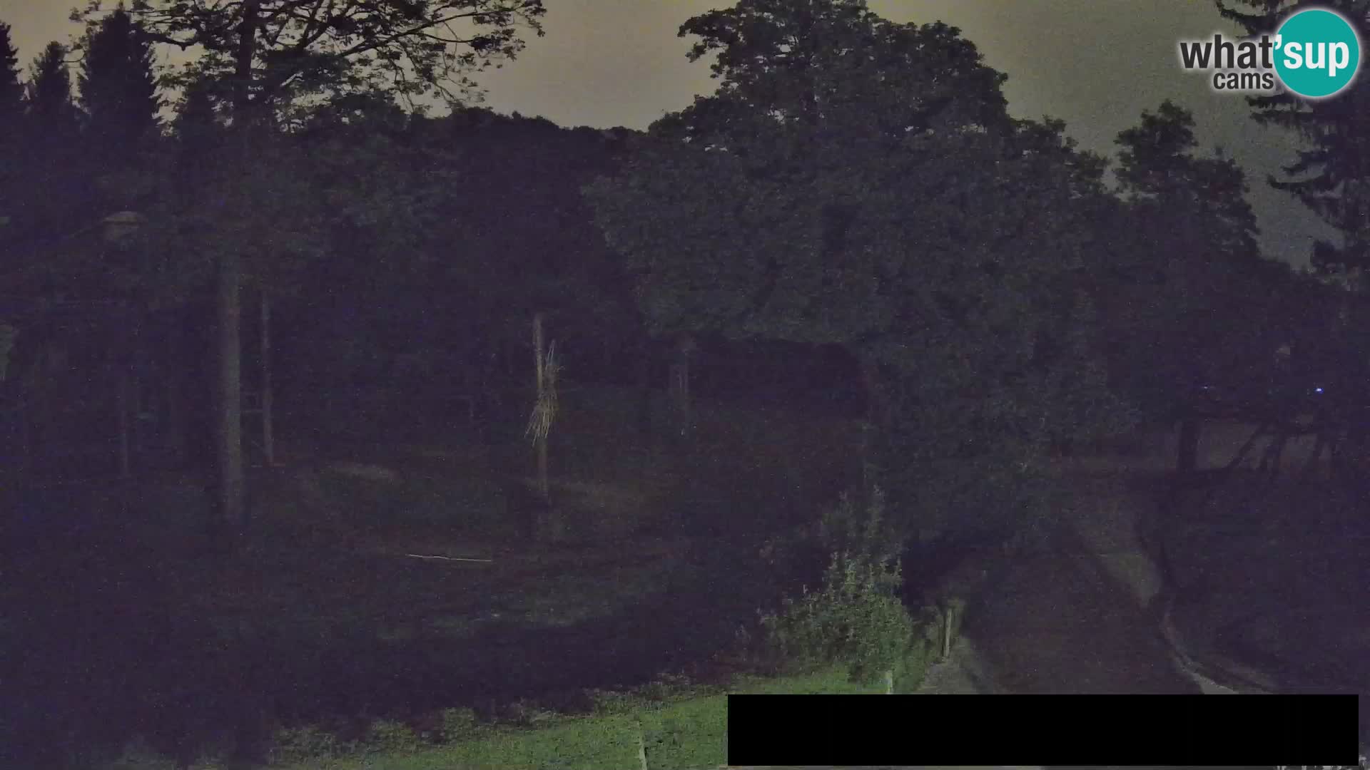 Webcam Zoo Ljubljana – Giraffes