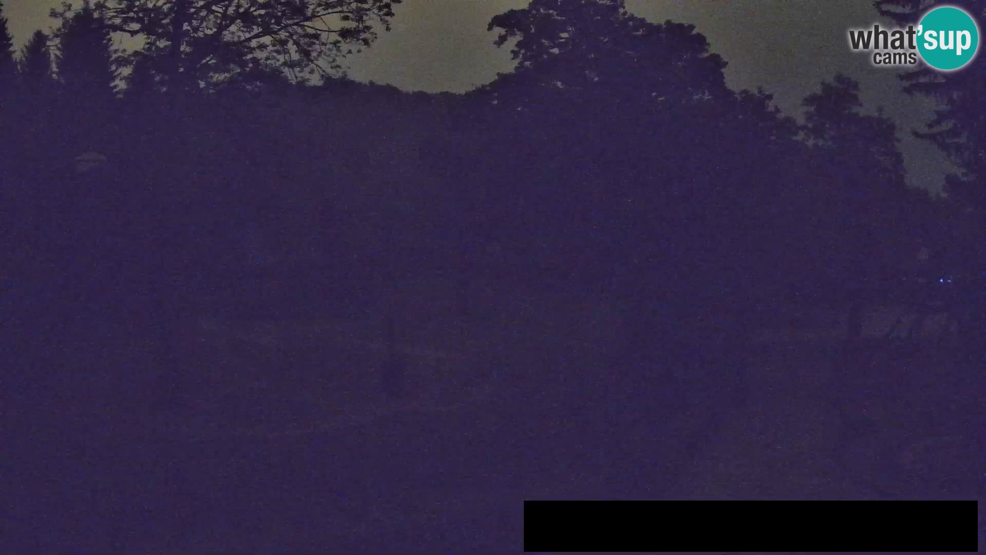 Webcam Zoo Ljubljana – Jirafas