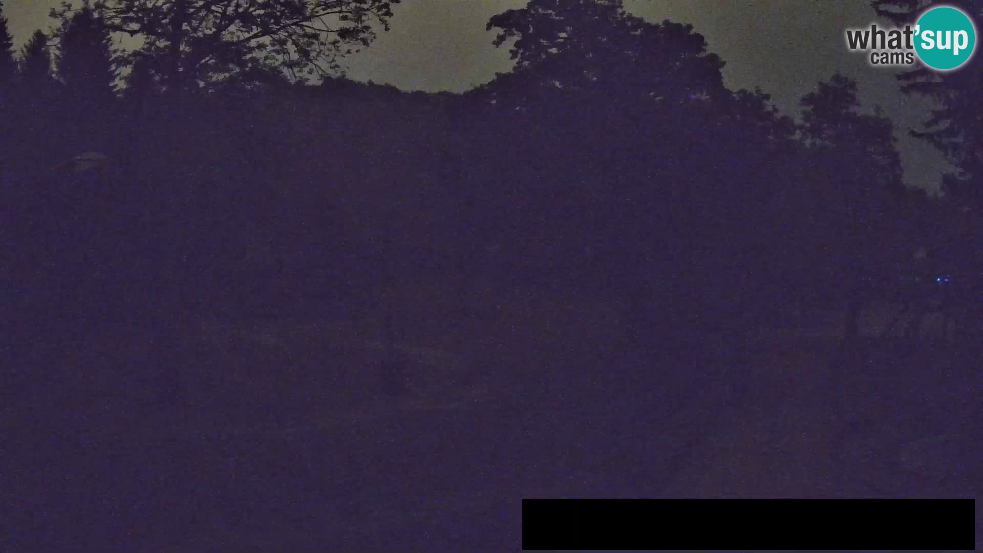 Webcam Zoo Ljubljana – Jirafas