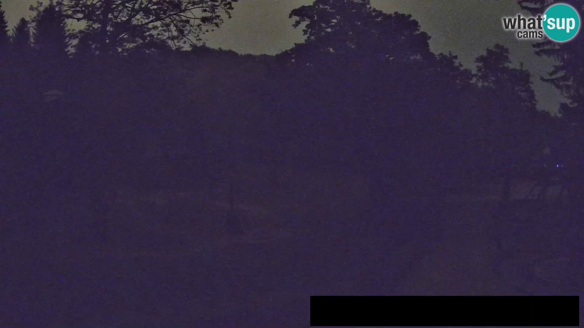 Webcam live Zoo Lubiana – Giraffe