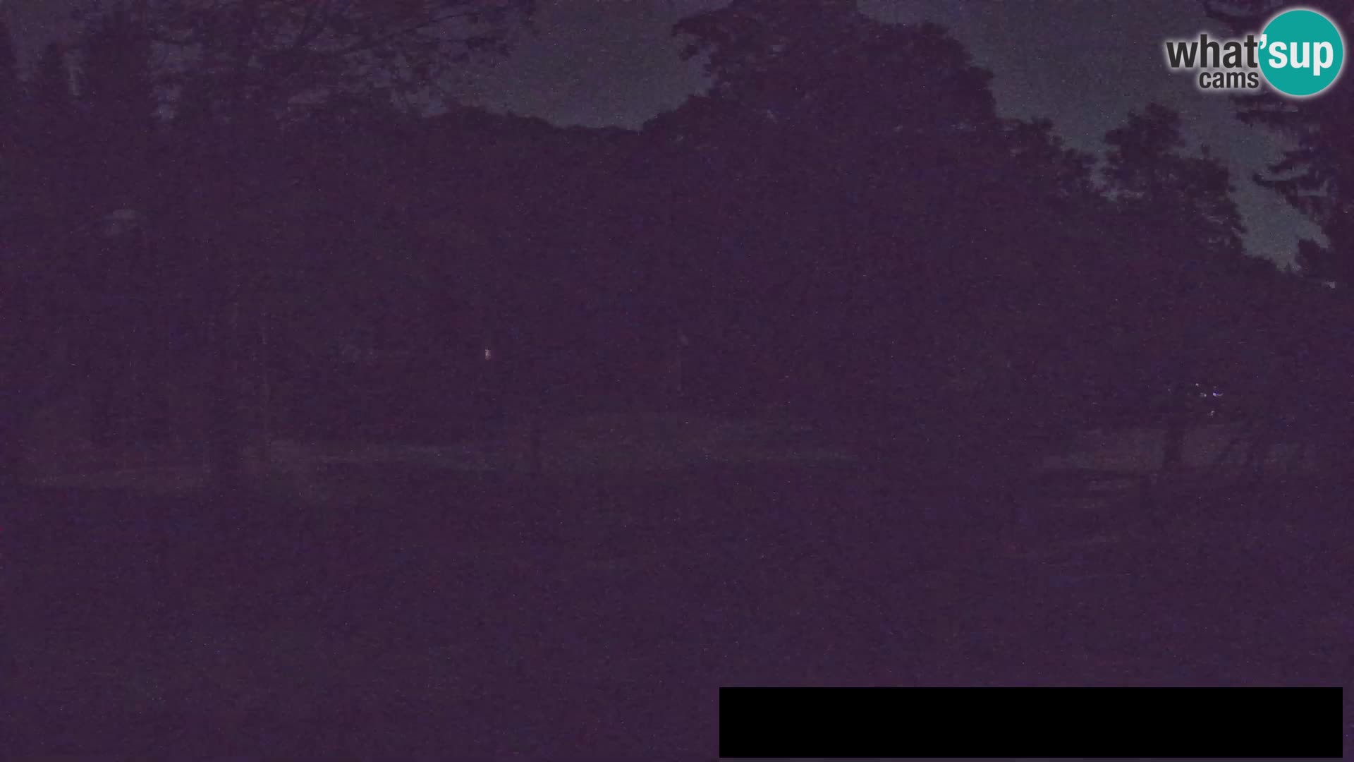 Webcam live Zoo Lubiana – Giraffe