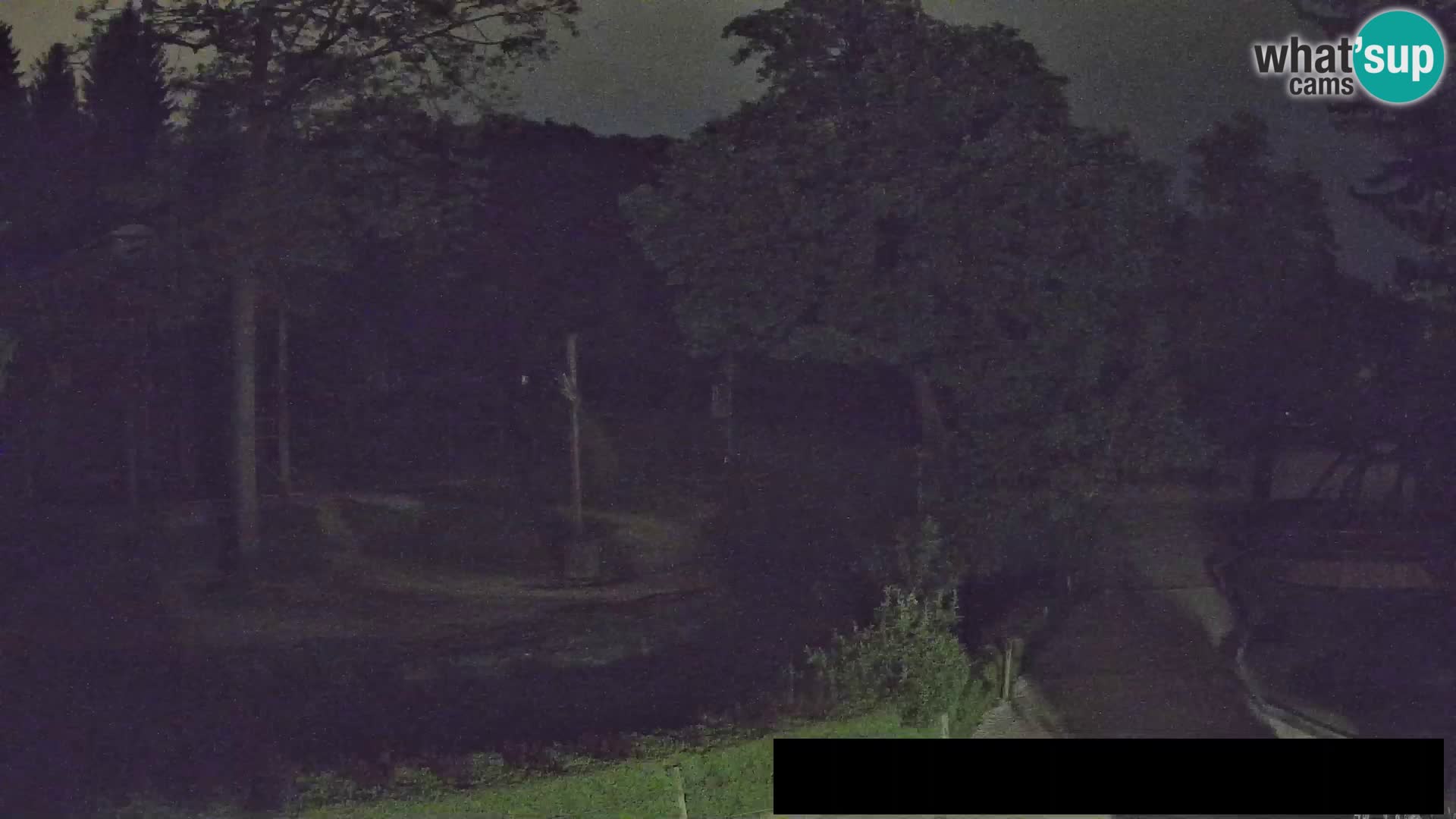 Spletna kamera Živalski vrt Ljubljana – Žirafe