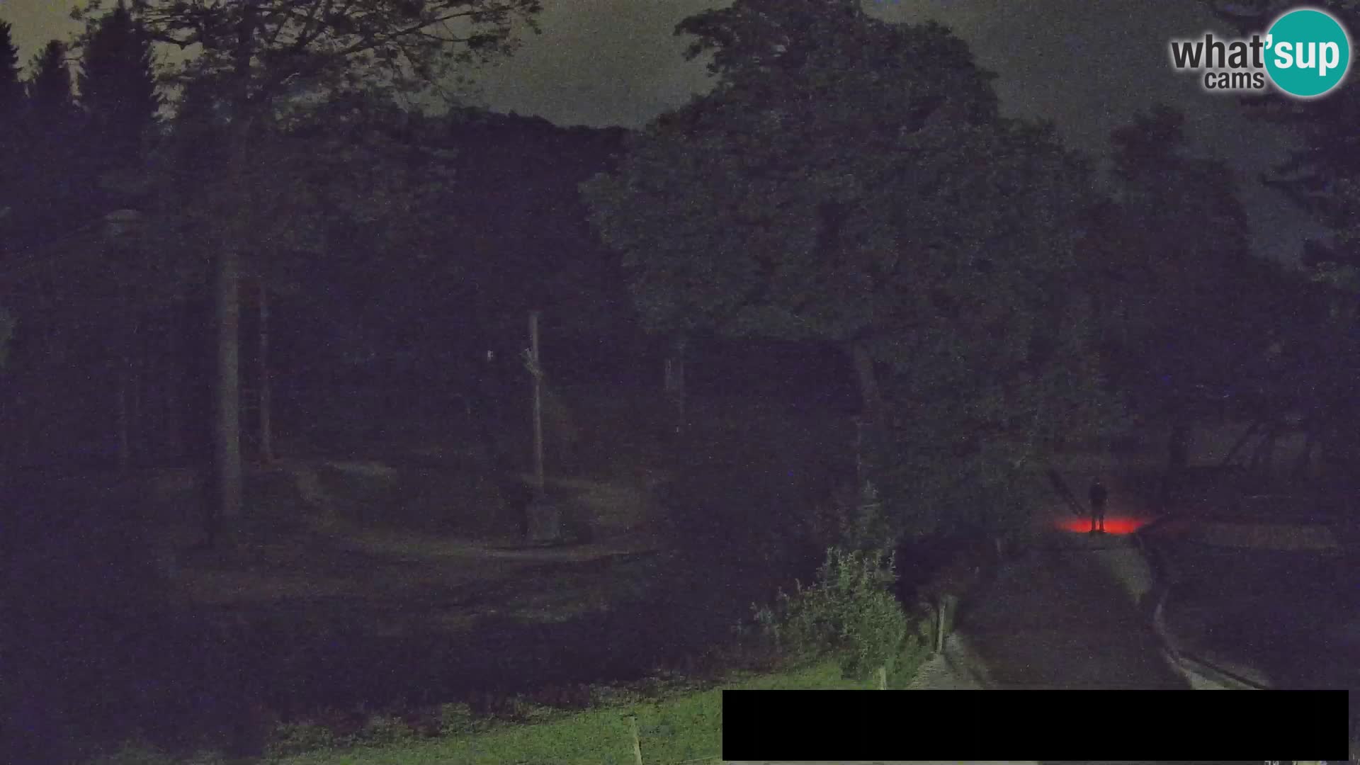 Spletna kamera Živalski vrt Ljubljana – Žirafe