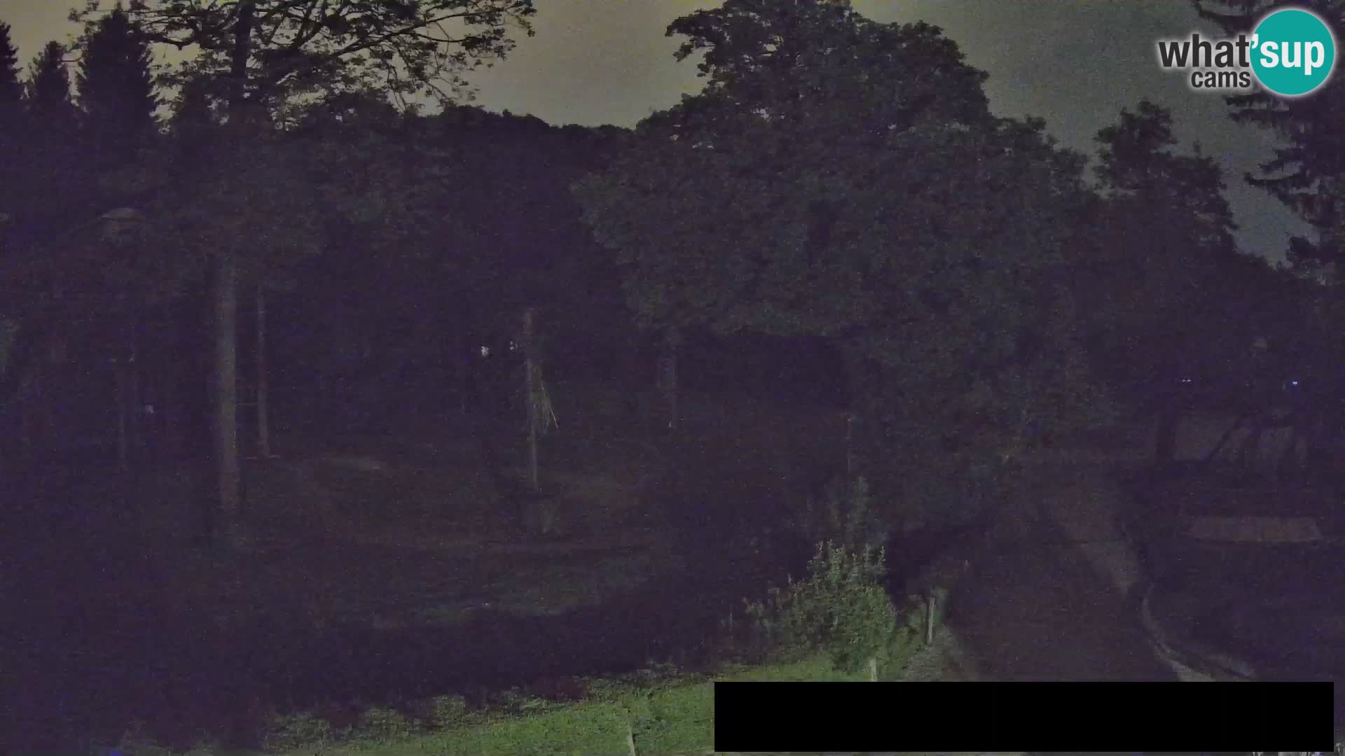 Webcam Zoo Ljubljana – Giraffes