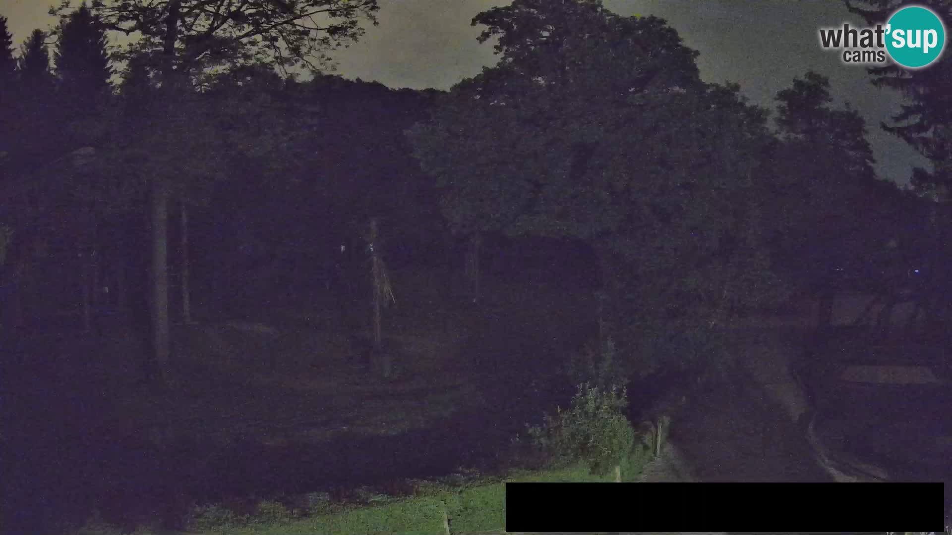 Webcam Zoo Ljubljana – Jirafas