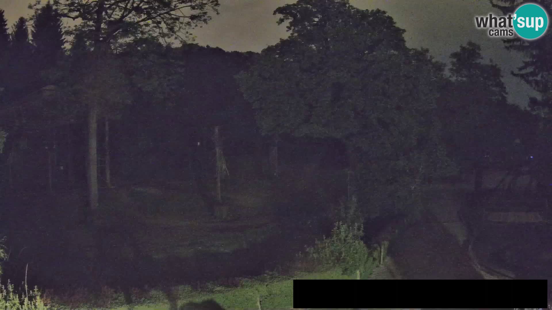 Webcam Zoo Ljubljana – Jirafas