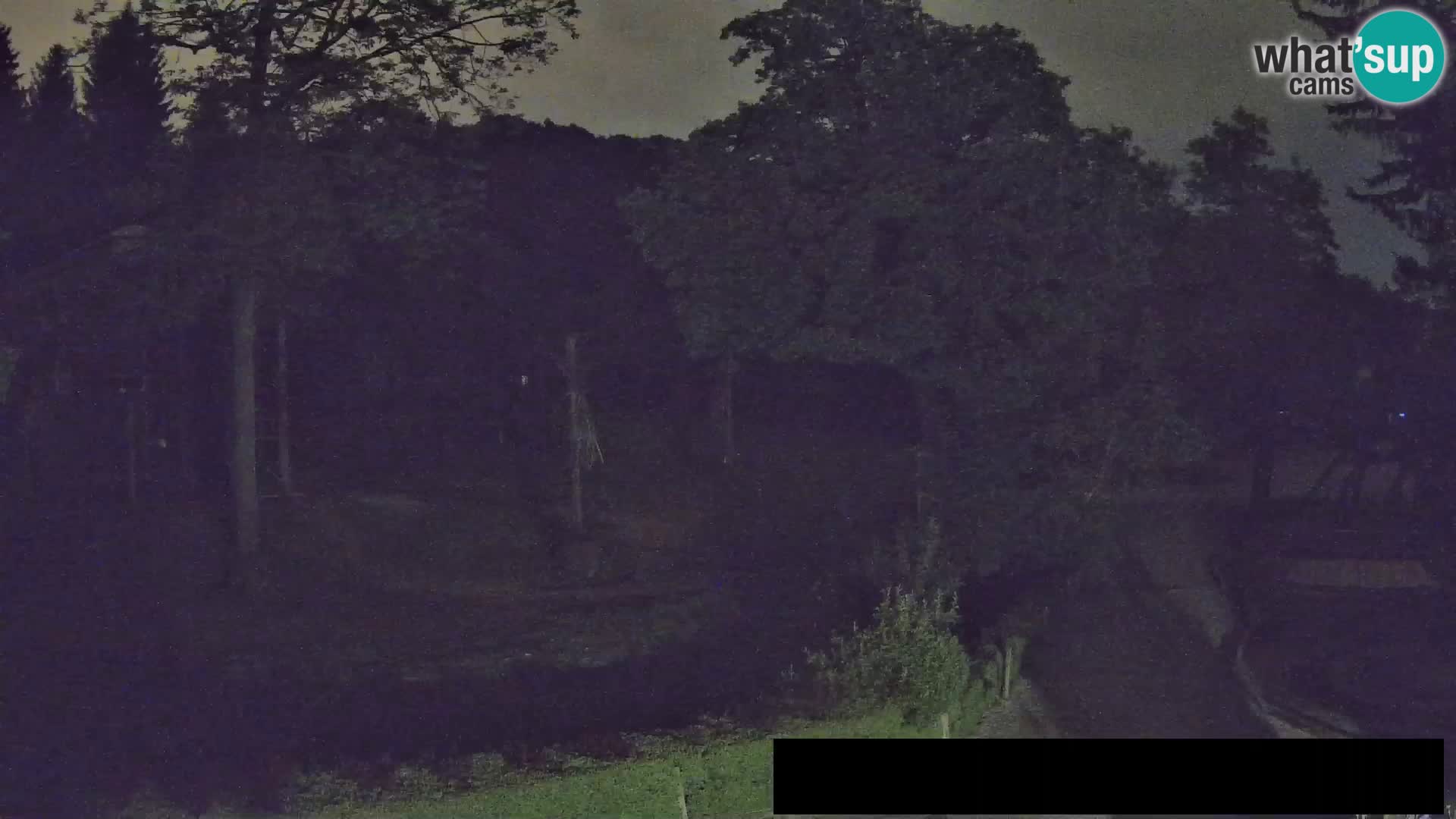 Webcam Zoo Ljubljana – Jirafas