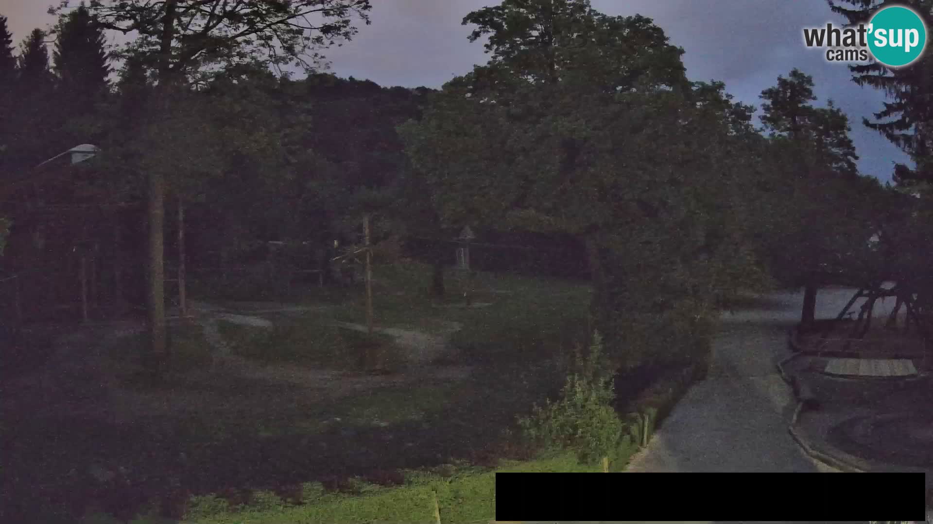 Webcam Zoo Ljubljana – Giraffes