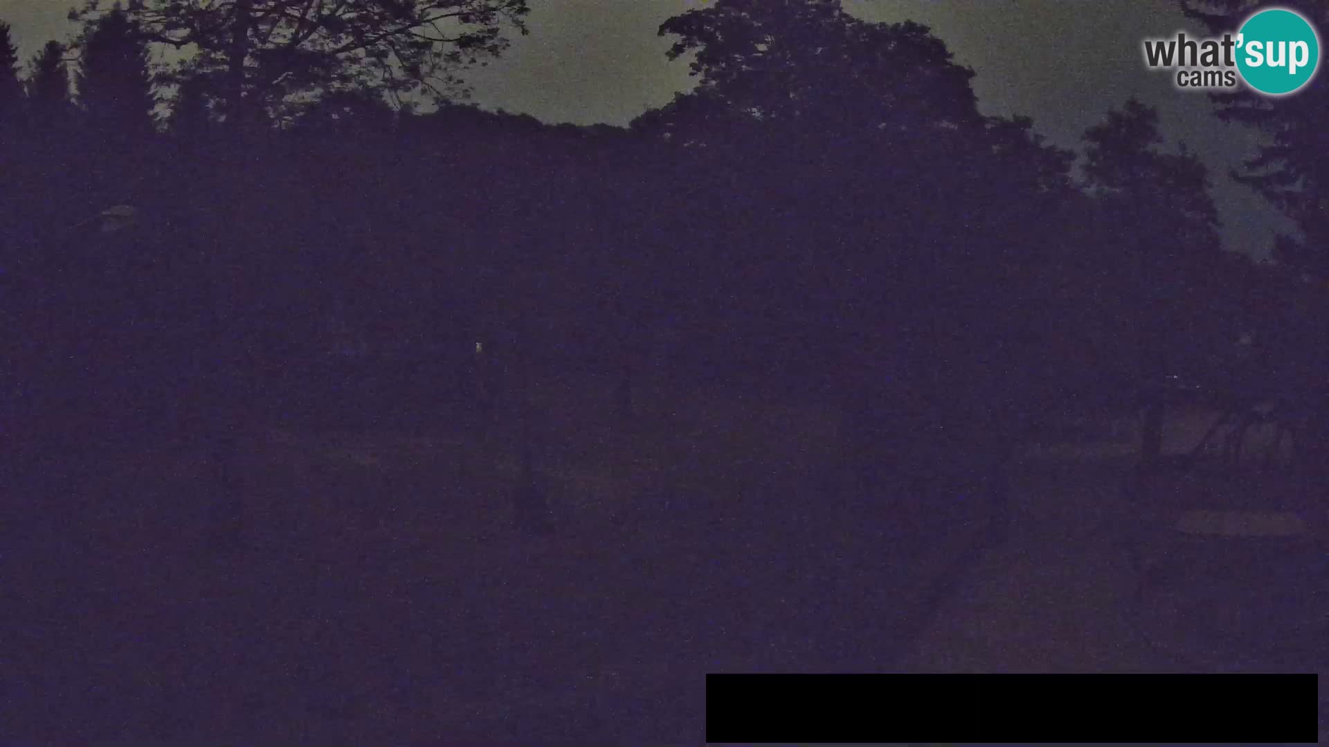 Webcam Zoo Ljubljana – Giraffes