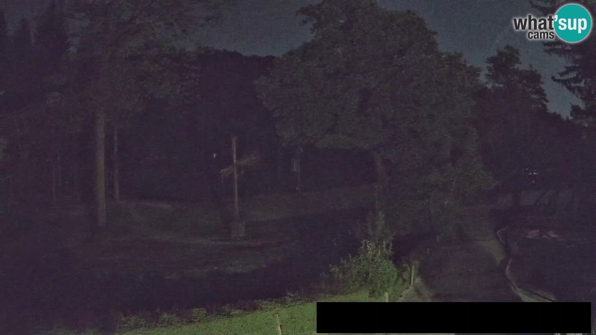 Webcam Zoo Ljubljana – Giraffes