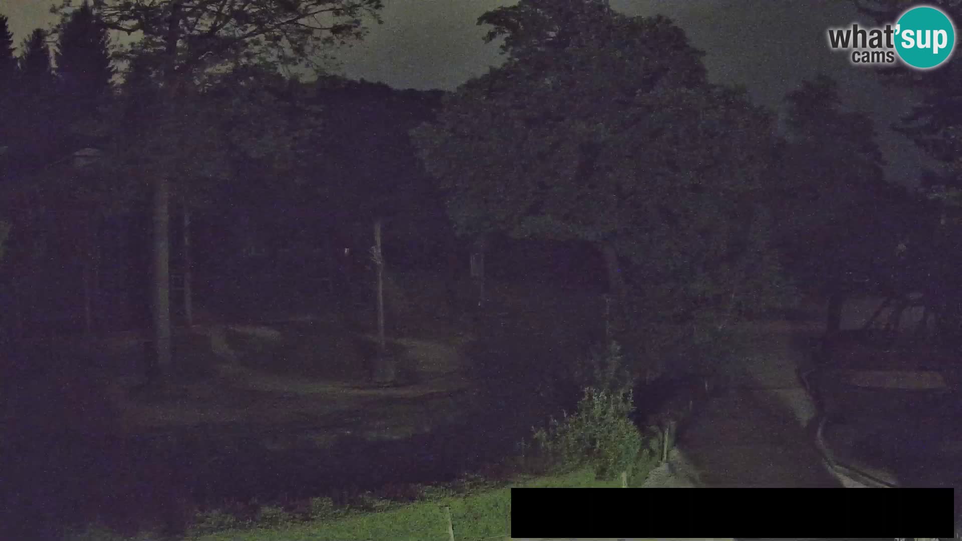 Webcam live Zoo Lubiana – Giraffe