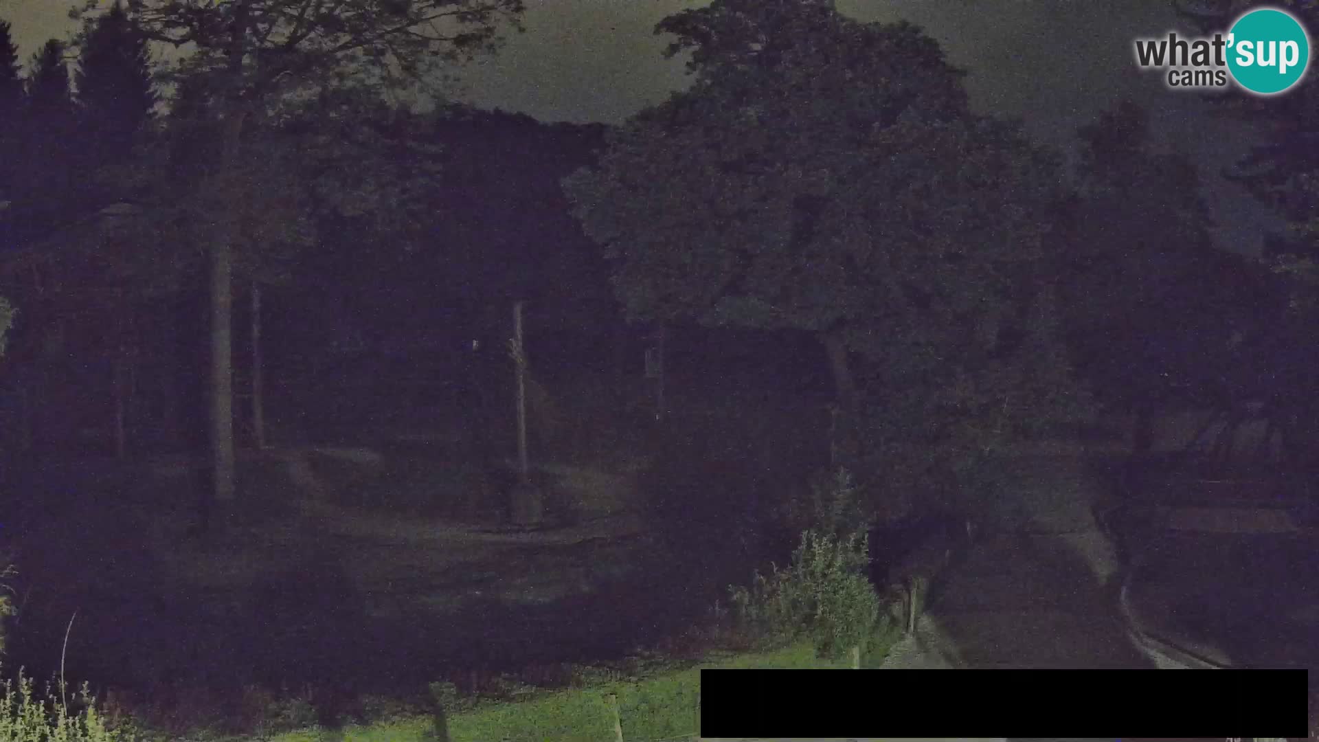 Webcam Zoo Ljubljana – Giraffen