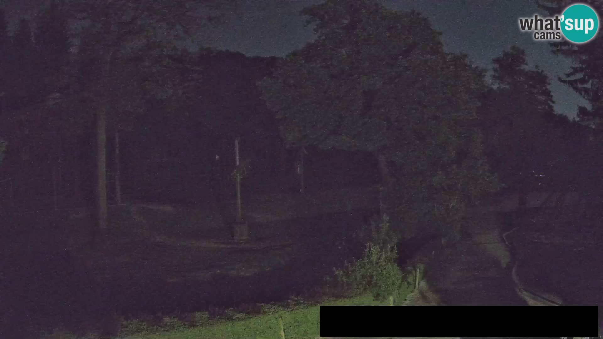 Webcam Zoo Ljubljana – Giraffes