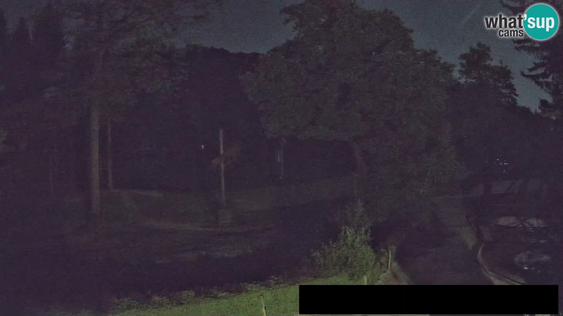 Webcam Zoo Ljubljana – Jirafas