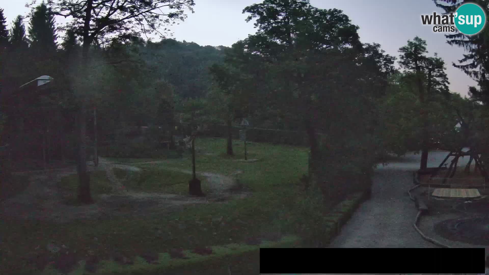 Web kamera Zoo Ljubljana – Žirafe