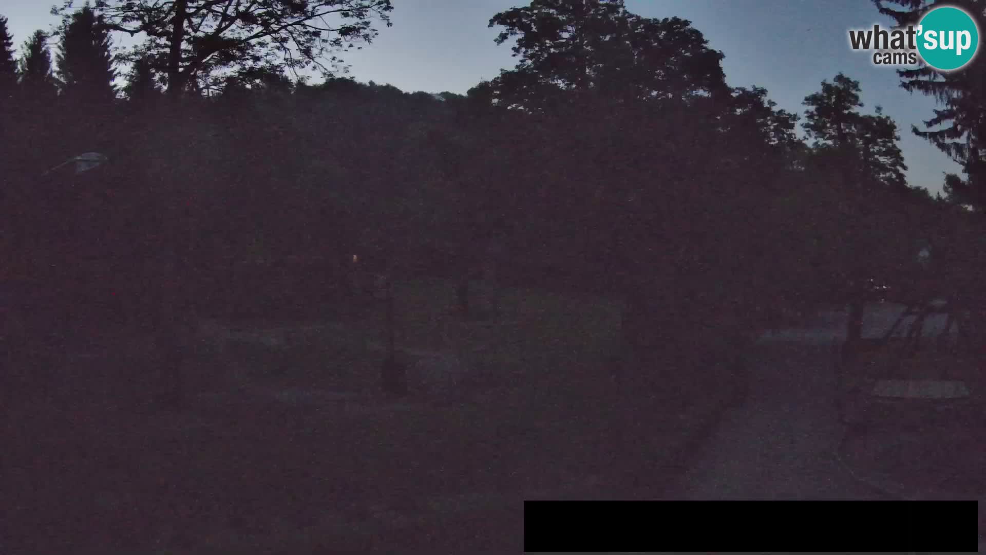 Webcam Zoo Ljubljana – Giraffen