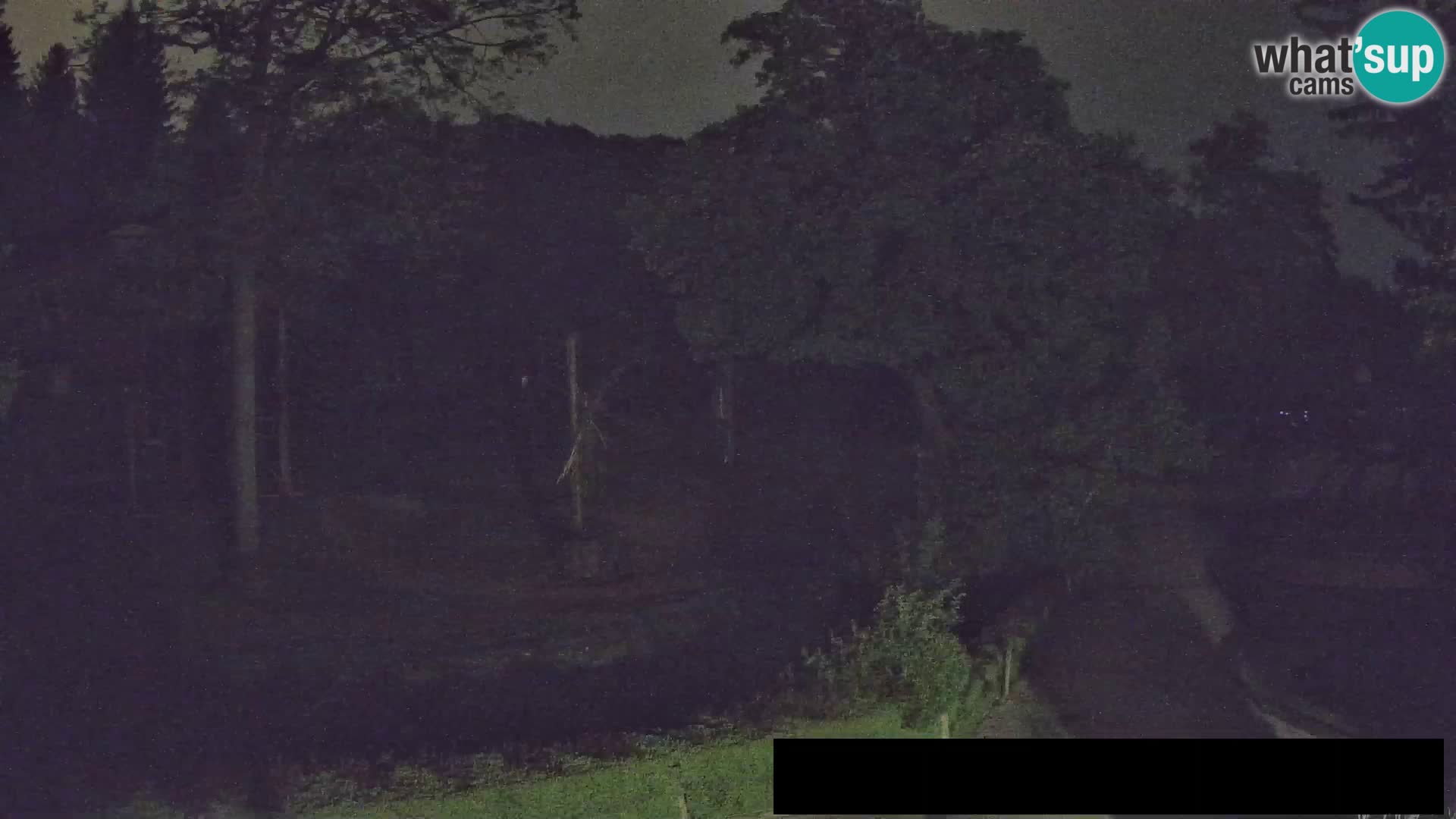 Webcam Zoo Ljubljana – Giraffes