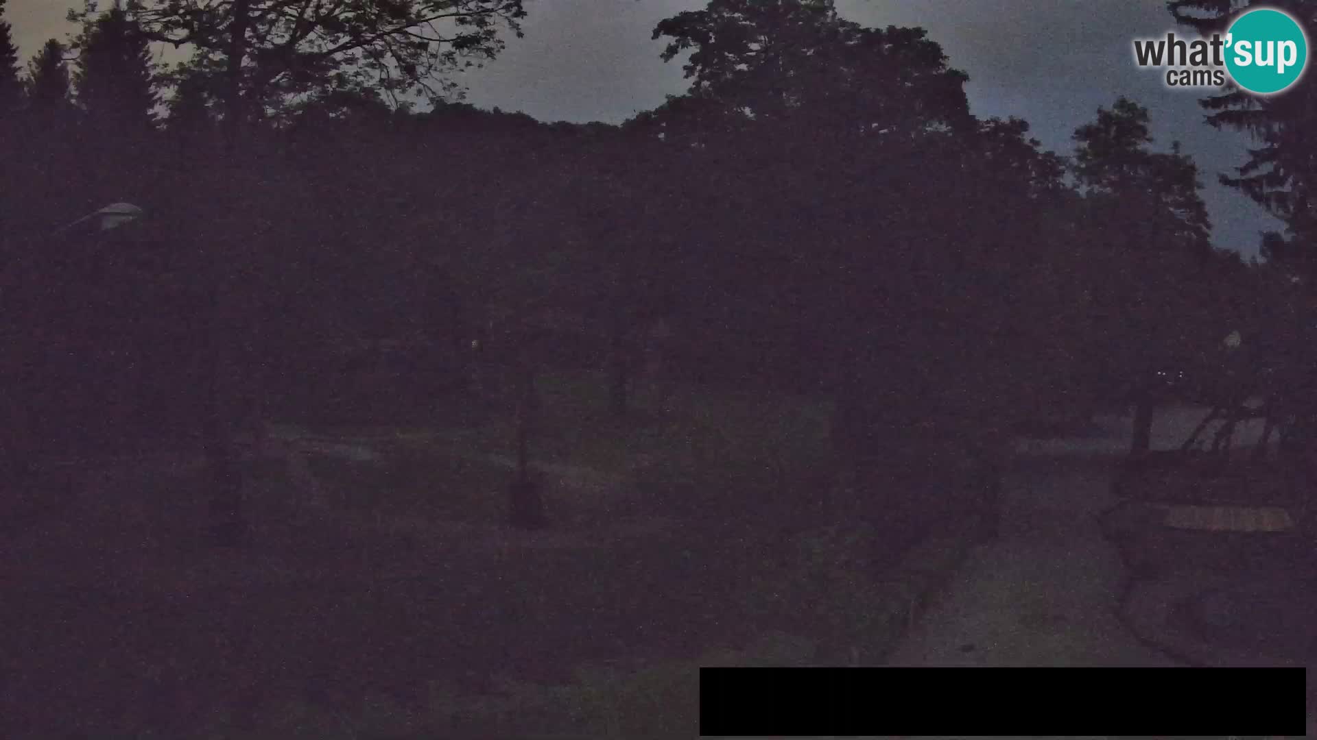 Webcam live Zoo Lubiana – Giraffe