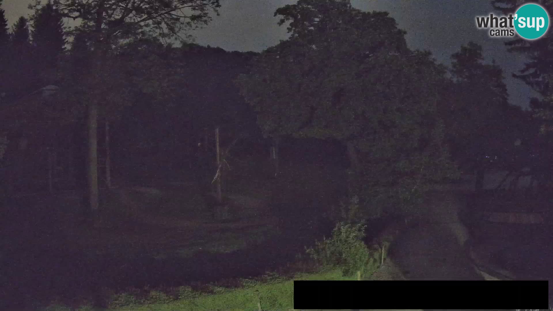 Webcam Zoo Ljubljana – Giraffes